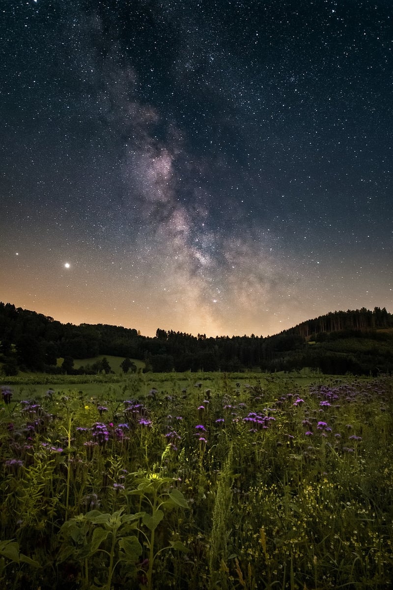 Starry Night Sky